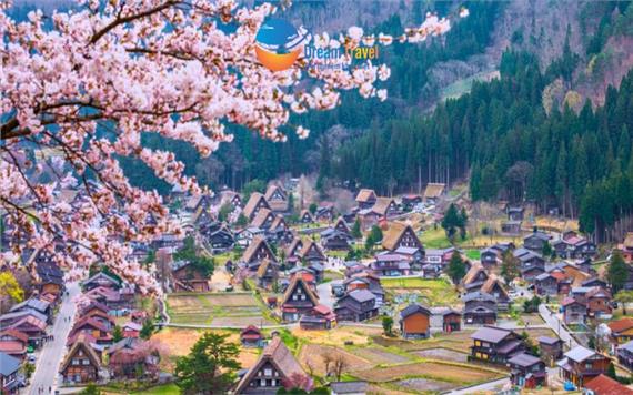 [HCM] Tour Nhật Bản Thiết Kế 6N5Đ Mùa Hoa Anh Đào Shirakawago